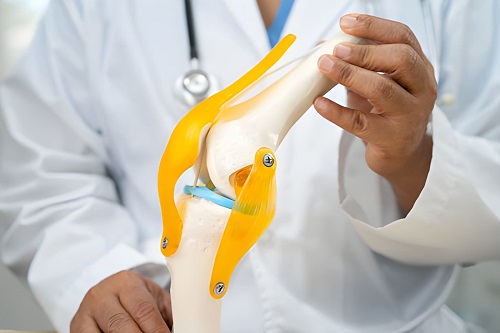Joint Replacement Surgeon in Panch Pakhadi, Thane